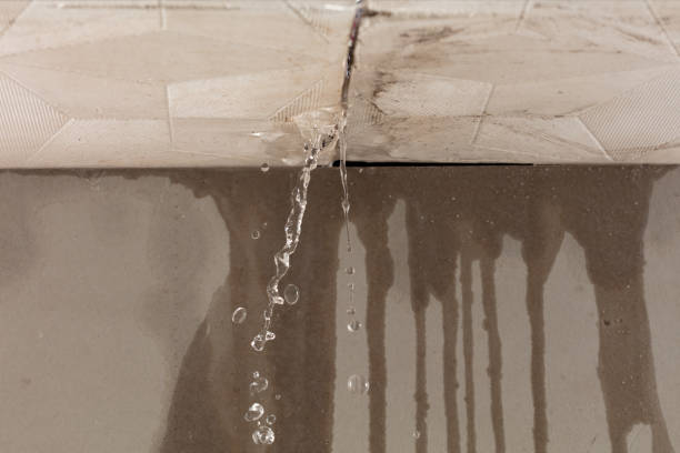 Professional Water Damage Repair technician working in Lester, WV